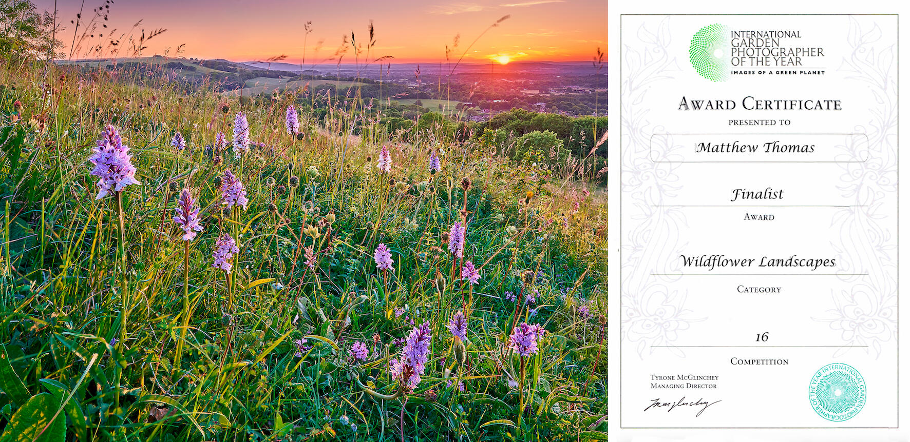 IGPOTY Competition 16 Finalist Certificate